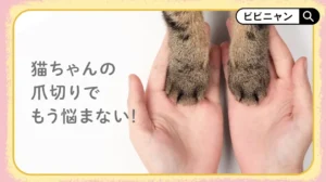 neconex　爪とぎ　猫